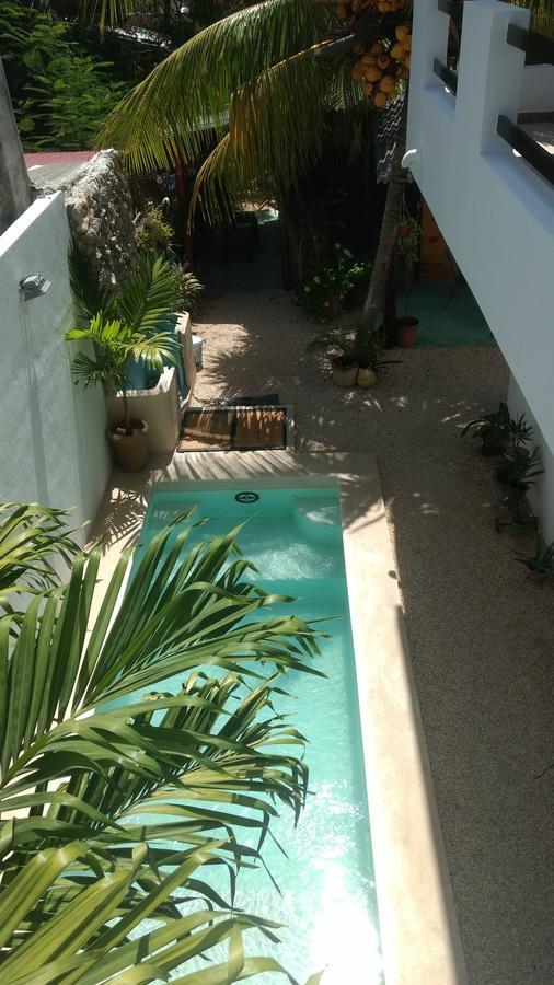 Casa Che Tulum Bed & Breakfast Екстериор снимка